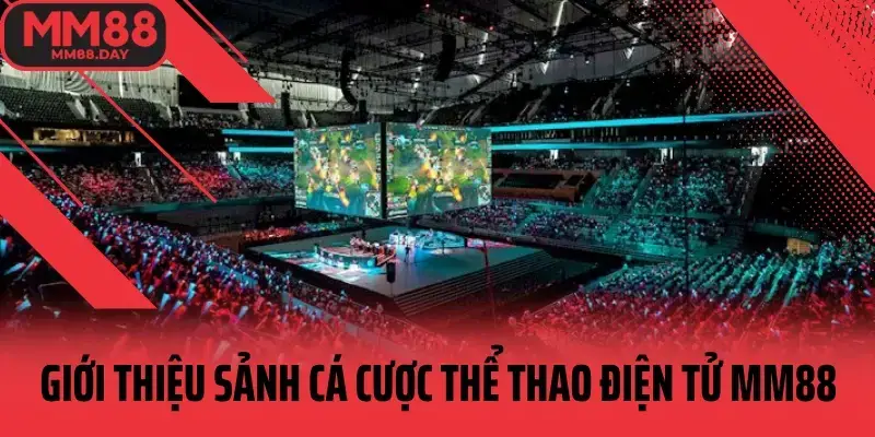 Giới thiệu sảnh cá cược thể thao điện tử esports MM88